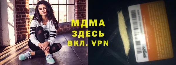 прущие грибы Инсар