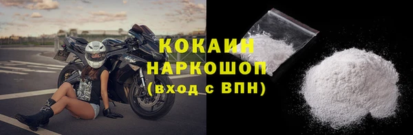 прущие грибы Инсар