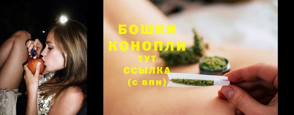 прущие грибы Инсар