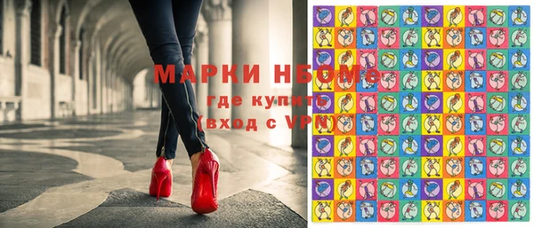 прущие грибы Инсар