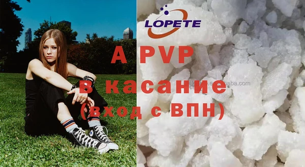 прущие грибы Инсар
