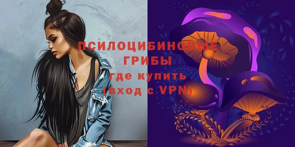 прущий лед Инта